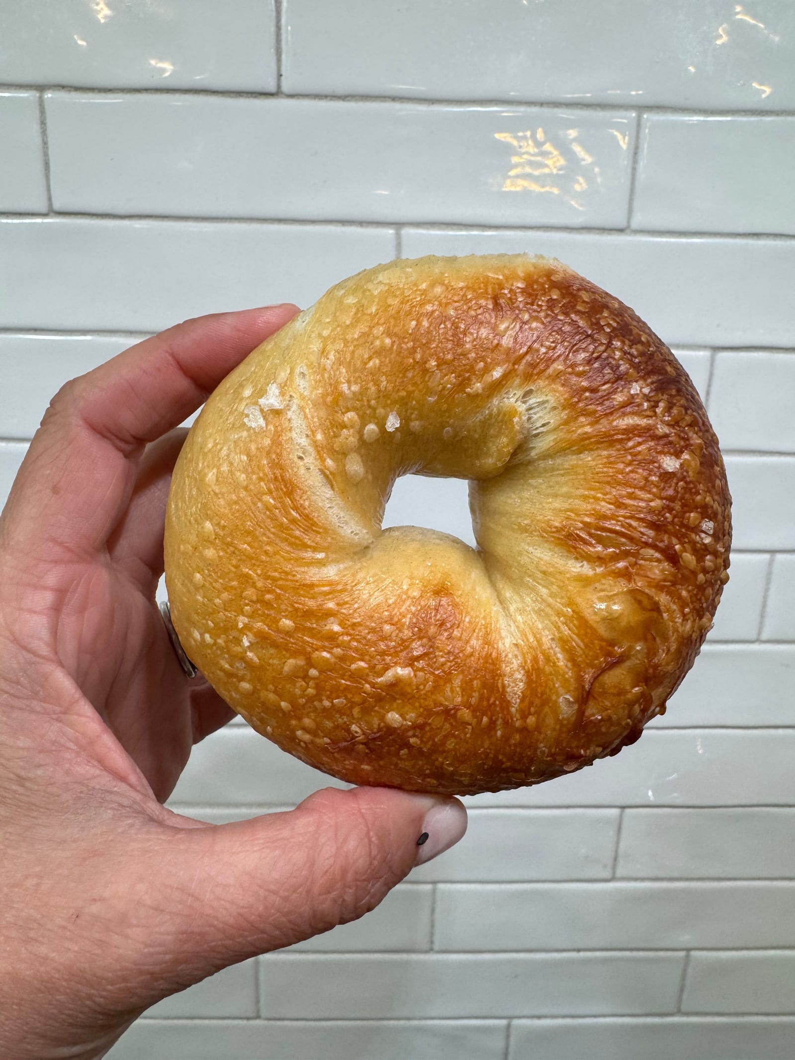 Fresh bagels