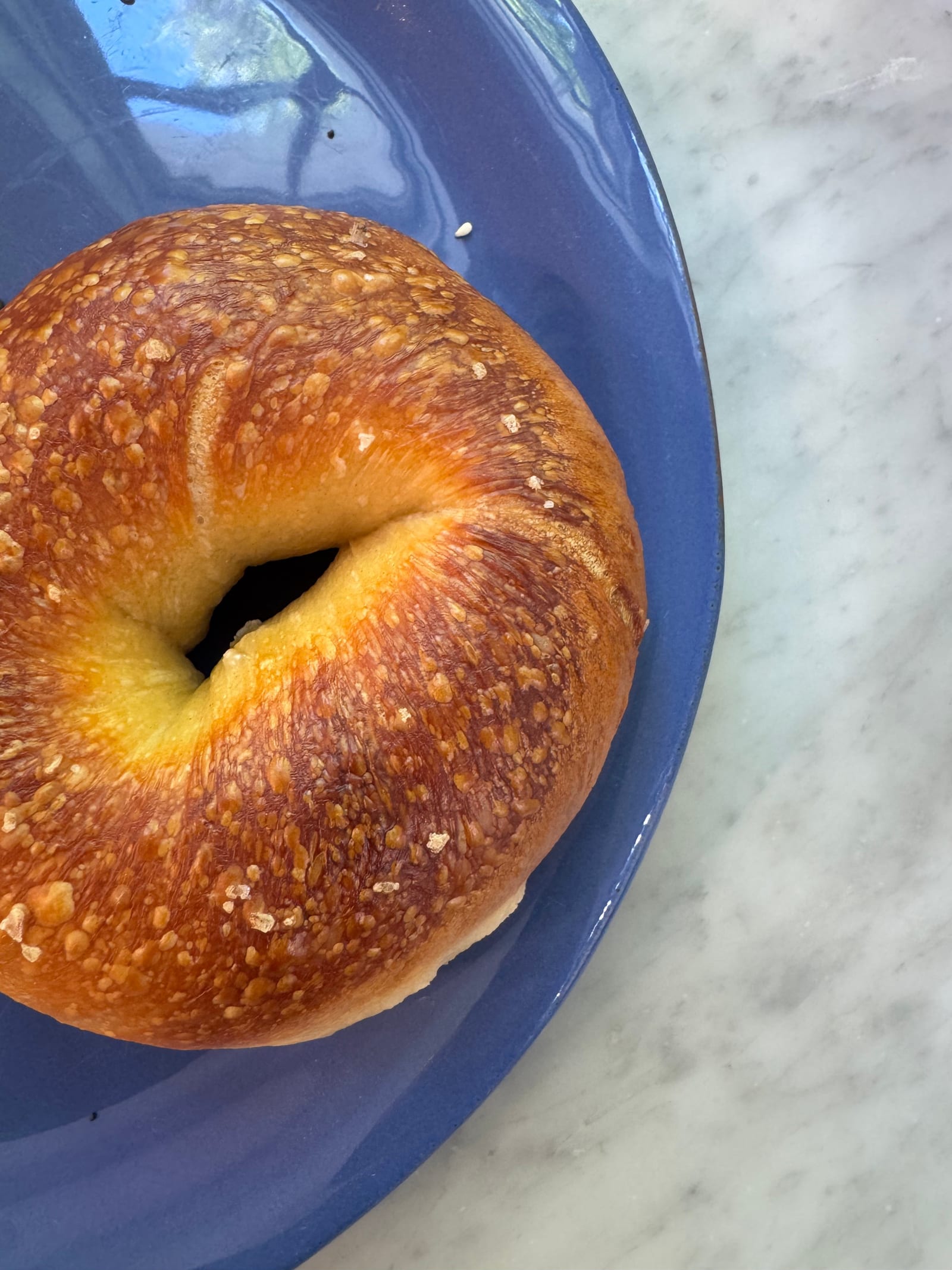 Fresh bagels